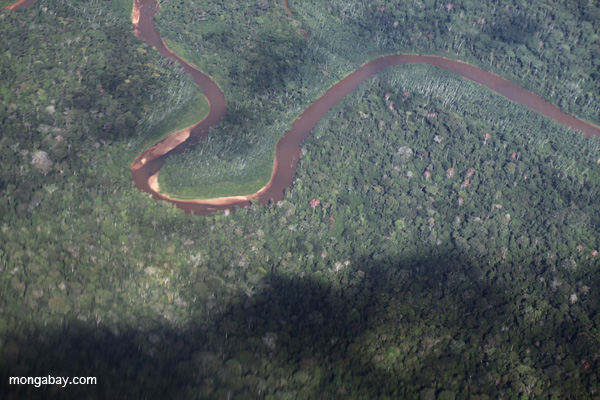 Amazon rainforest river in Peru