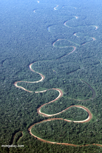 Overhead view of a twisting rainforest river