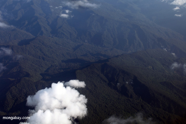 Rugged submontane forest in the Andean foothills of the Amazon