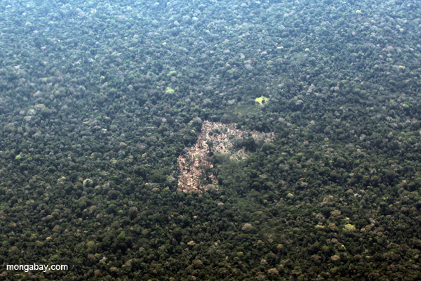 Remote Amazon ranch