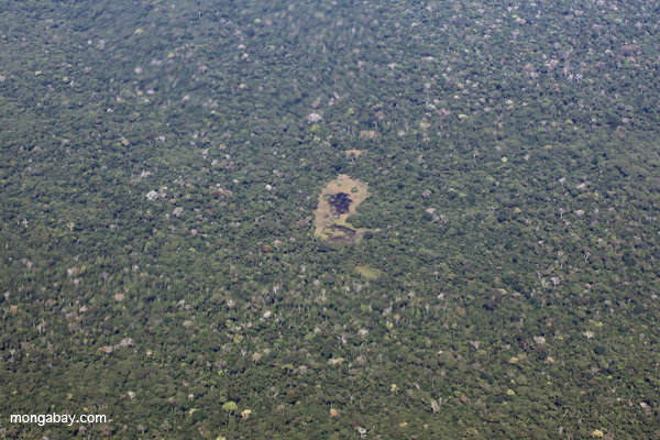 Lake in the Amazon rainforest