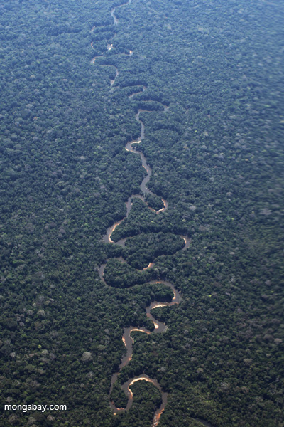 Tropical rainforest river