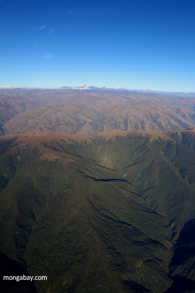 Airplane view of the forest of the Amazon basin
