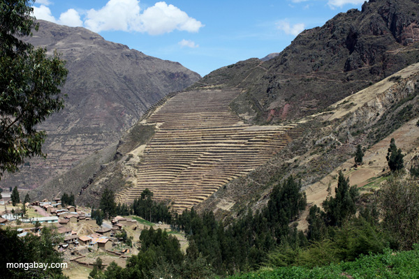 Inca terraces