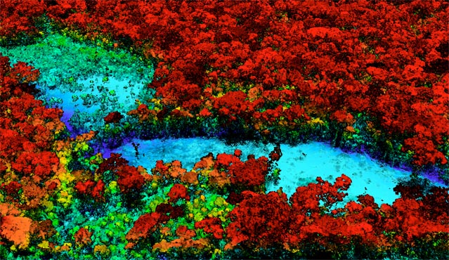 3D forest mapping