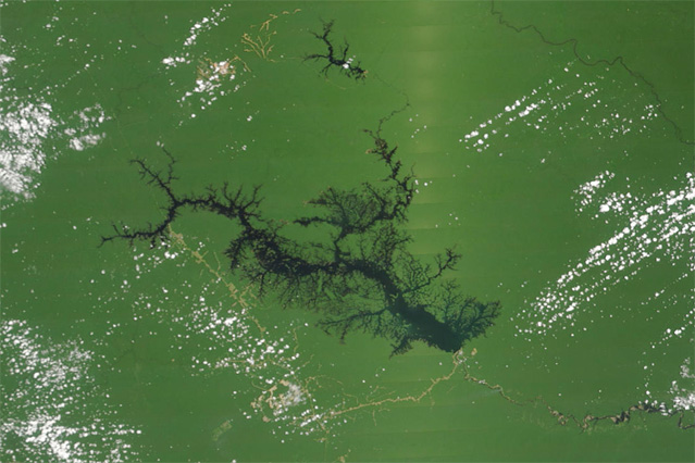 Lake Balbina, a giant Amazon dam