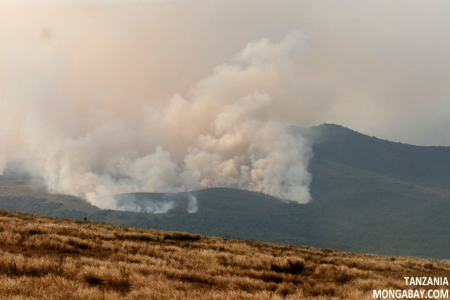 Brush fire in the Ngorongoro Conservation Area
