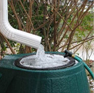 Milaap Projects on rainwater harvesting