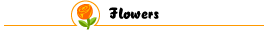 Get cash-back rebates at top flower stores and find money-saving coupons at MrRebates.com!