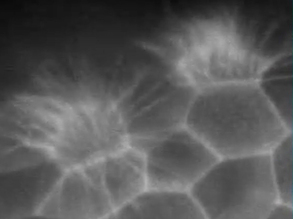 Visualising Function