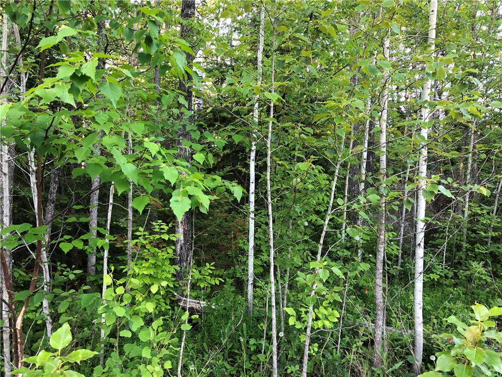 FEATURED LISTING: 29 Fairway Drive Lac Du Bonnet RM
