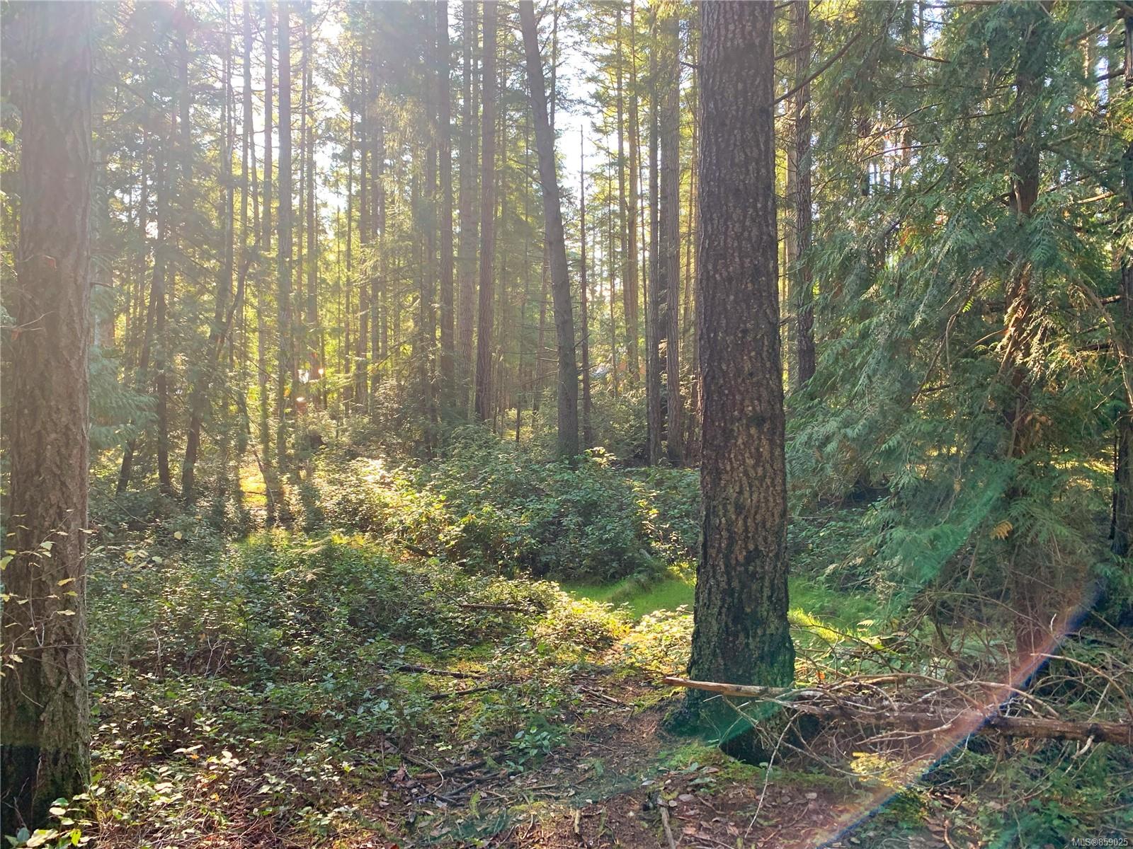 FEATURED LISTING: Lt 23 Berg Rd