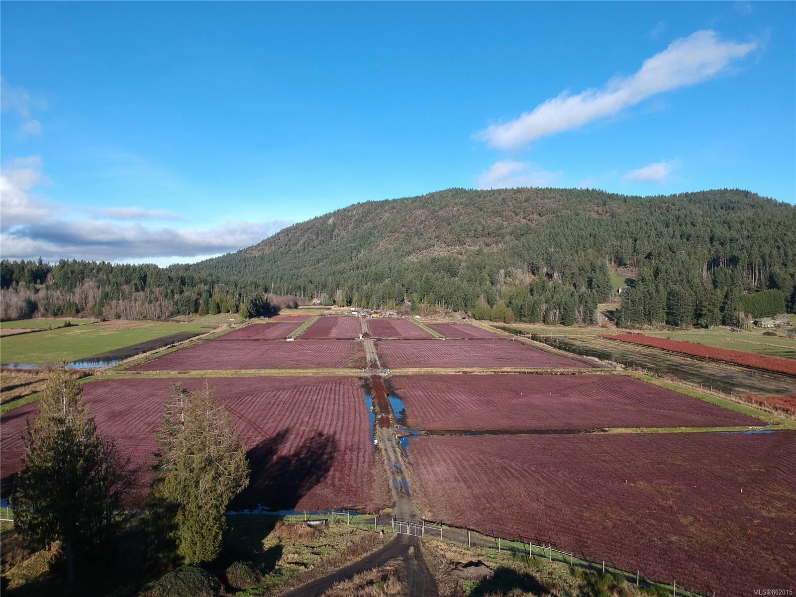 FEATURED LISTING: 7165 Mays Rd