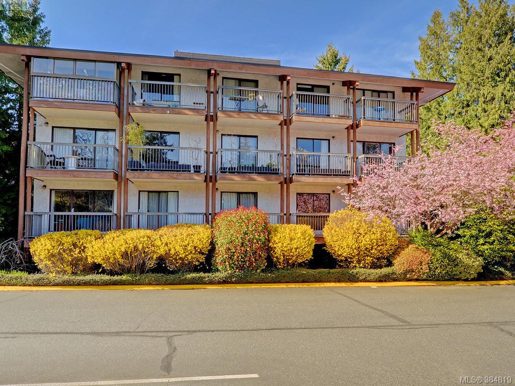 Main Photo: 415 1005 McKenzie Avenue in VICTORIA: SE Quadra Condo Apartment for sale (Saanich East) : MLS®# 384819