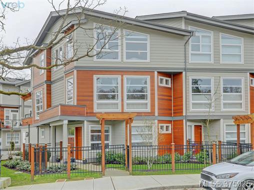 Main Photo: 4 3440 Linwood Avenue in VICTORIA: SE Maplewood Townhouse for sale (Saanich East) : MLS®# 375925