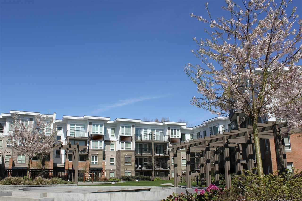 Main Photo: 435 9500 ODLIN Road in Richmond: West Cambie Condo for sale in "Cambridge Park" : MLS(r) # R2003928