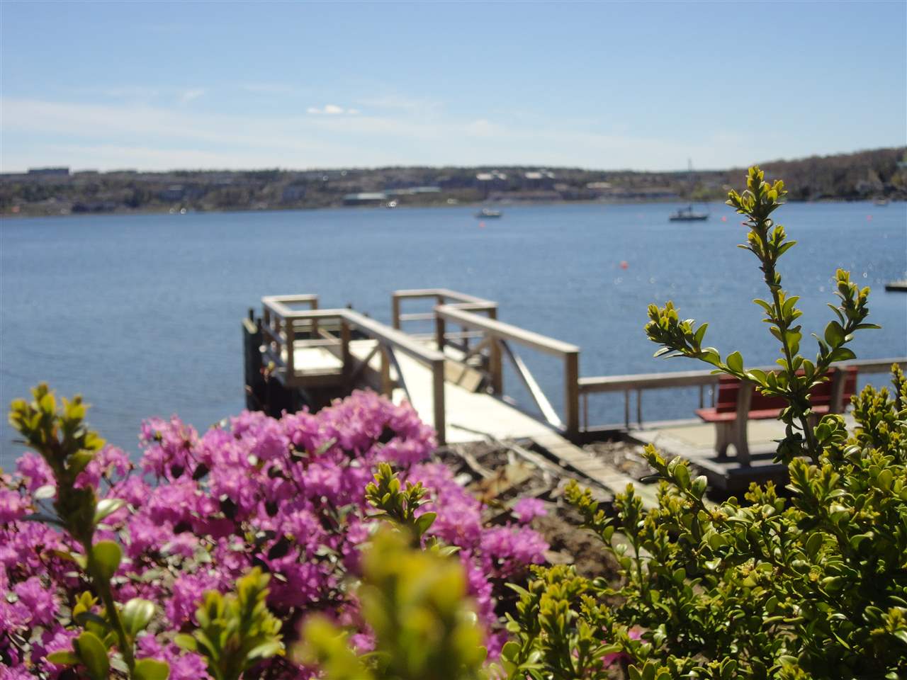 Main Photo: 709 Shore Drive in Bedford: 20-Bedford Vacant Land for sale (Halifax-Dartmouth) : MLS®# 201803891