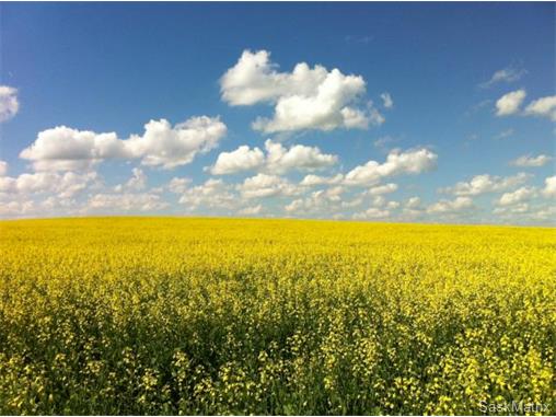 Main Photo: RM THE GAP in Ceylon: Weyburn / Estevan NW (Other) Farm (Weyburn / Estevan NW) : MLS® # 585604