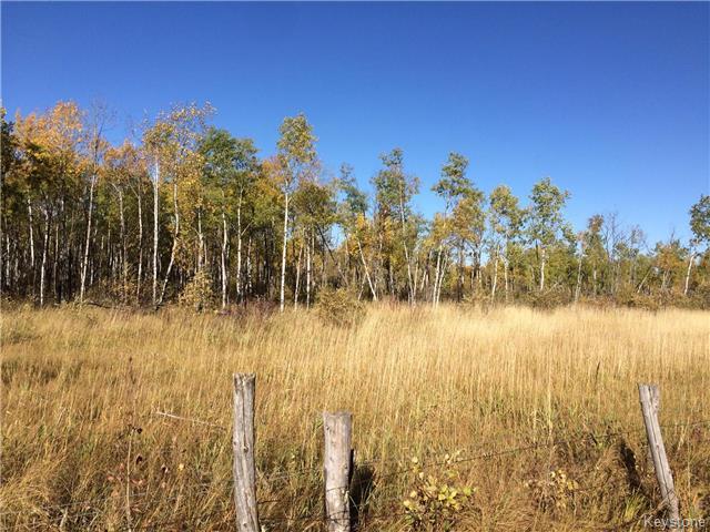 Main Photo: 45106 41E Road in Ste Anne Rm: R06 Residential for sale : MLS®# 1725610