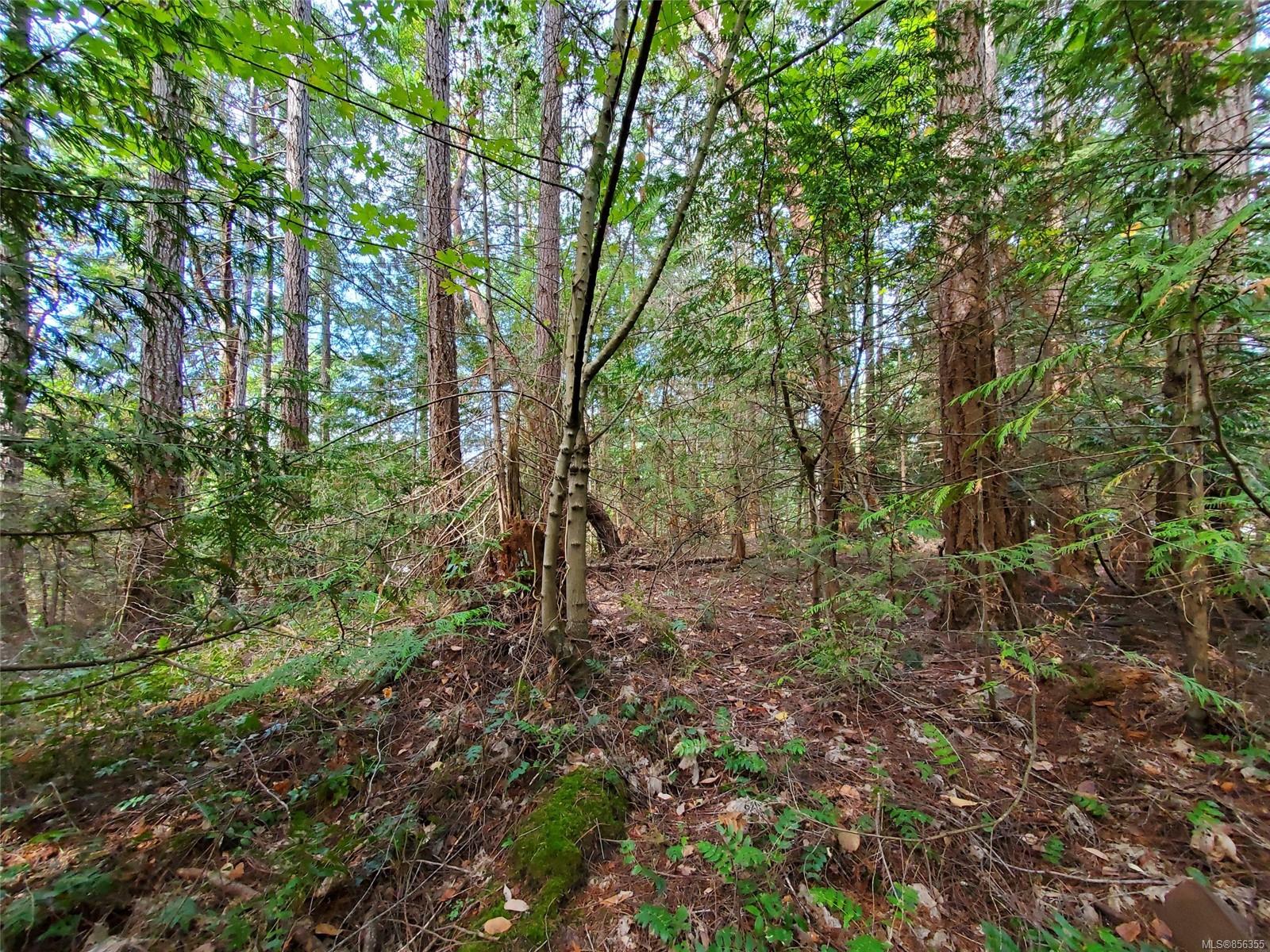 FEATURED LISTING: LT 5 Sharie Rd
