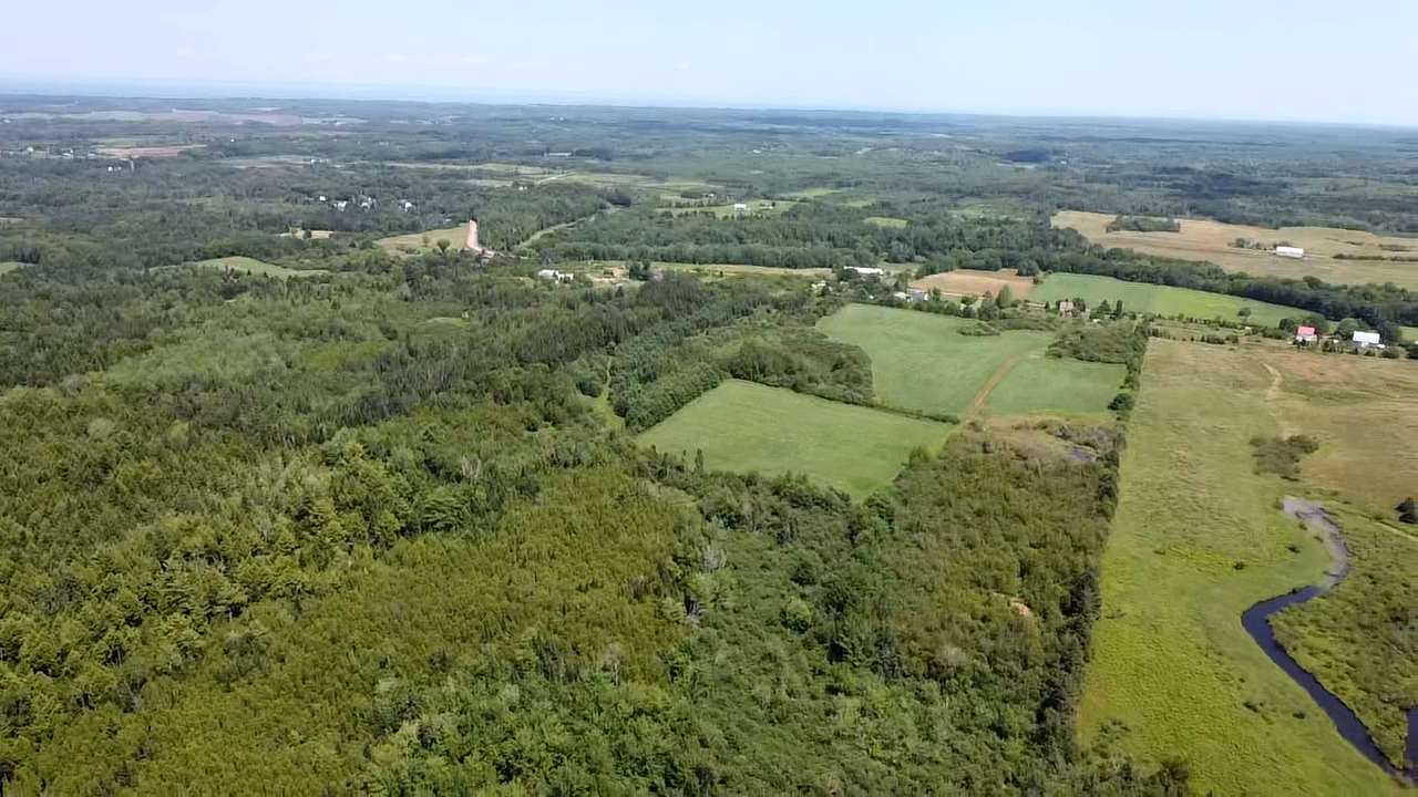 FEATURED LISTING: West Branch Road Welsford