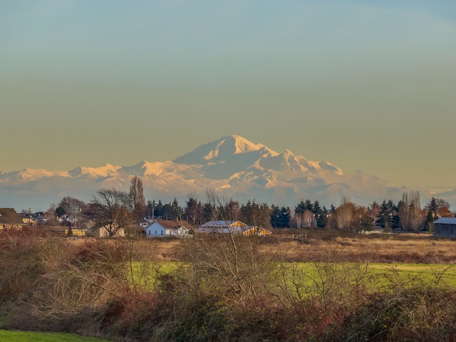 Main Photo: 619 SANDOLLAR PLACE in Delta: Tsawwassen East House for sale (Tsawwassen) : MLS®# R2022171