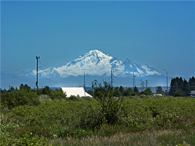 FEATURED LISTING: 5744 RIVER Road Ladner