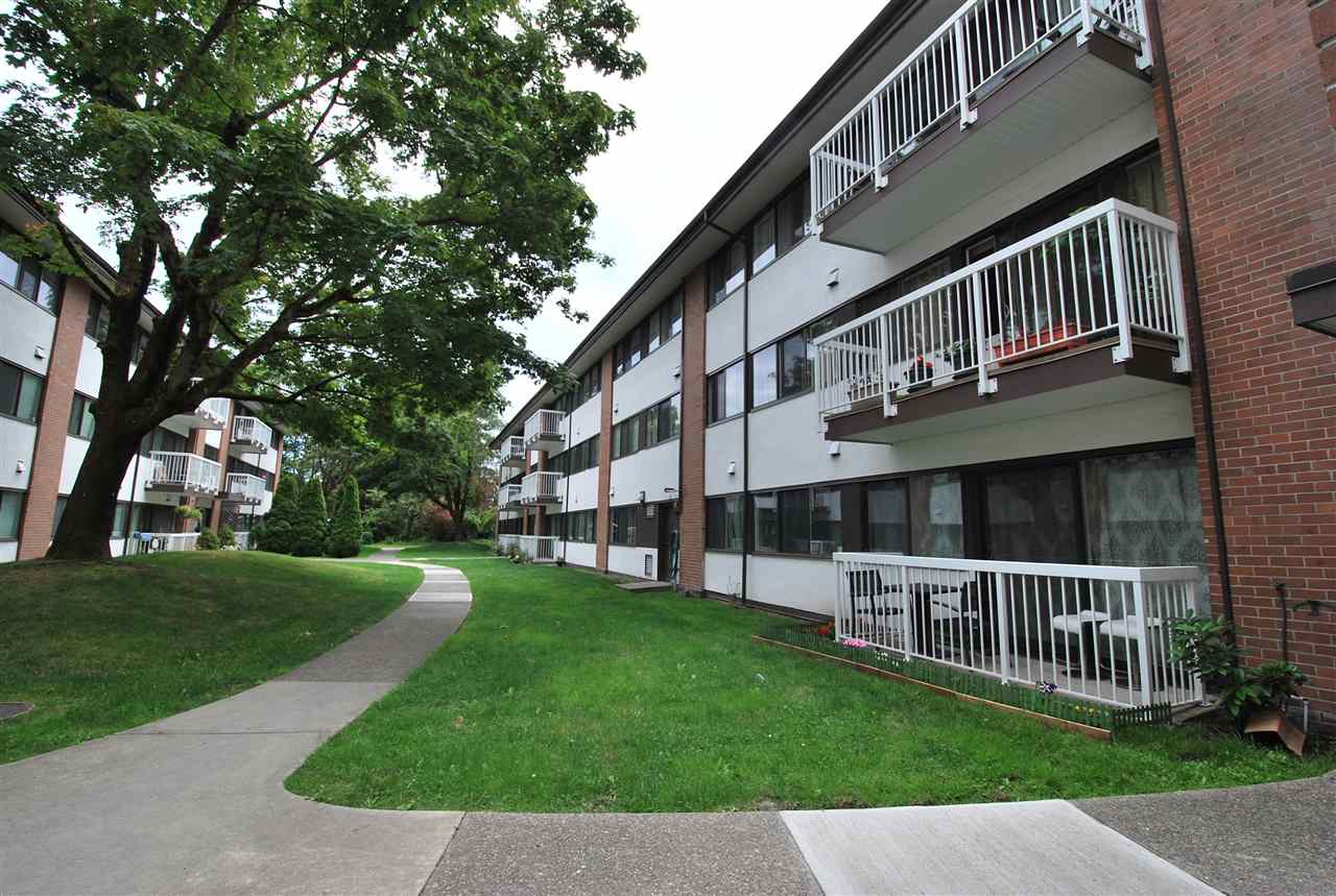 Main Photo: 103 8040 RYAN ROAD in Richmond: South Arm Condo for sale : MLS(r) # R2079966