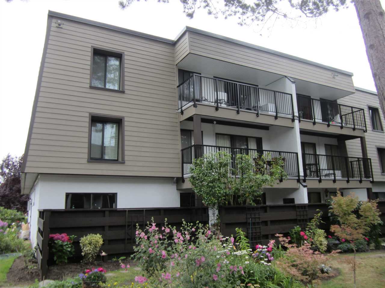 Main Photo: 228 8880 NO 1 ROAD in Richmond: Boyd Park Condo for sale : MLS® # R2103564