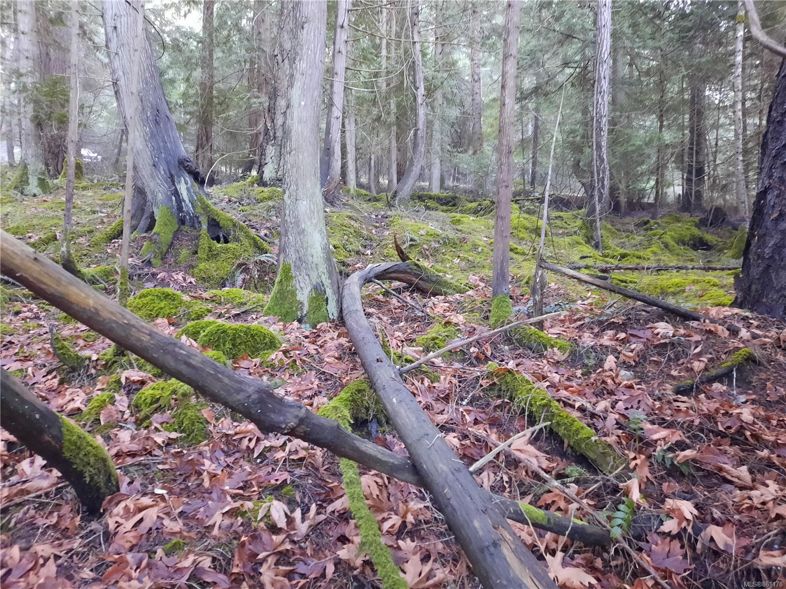 FEATURED LISTING: Lot 76 Coho Blvd