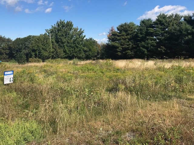 FEATURED LISTING: 47 Dorsay Road East Amherst