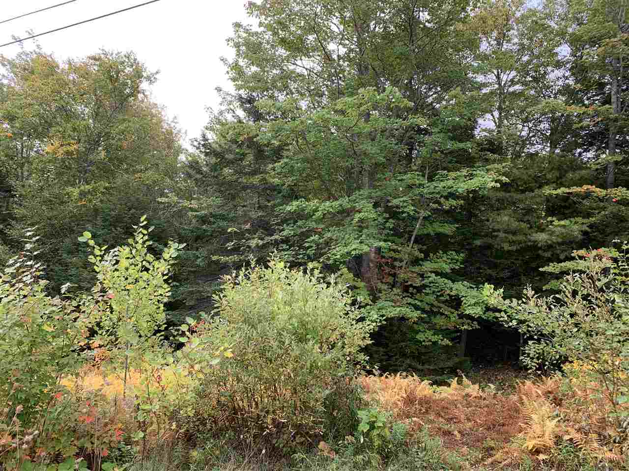 FEATURED LISTING: Lot 7-8 Logan Road Frasers Mountain
