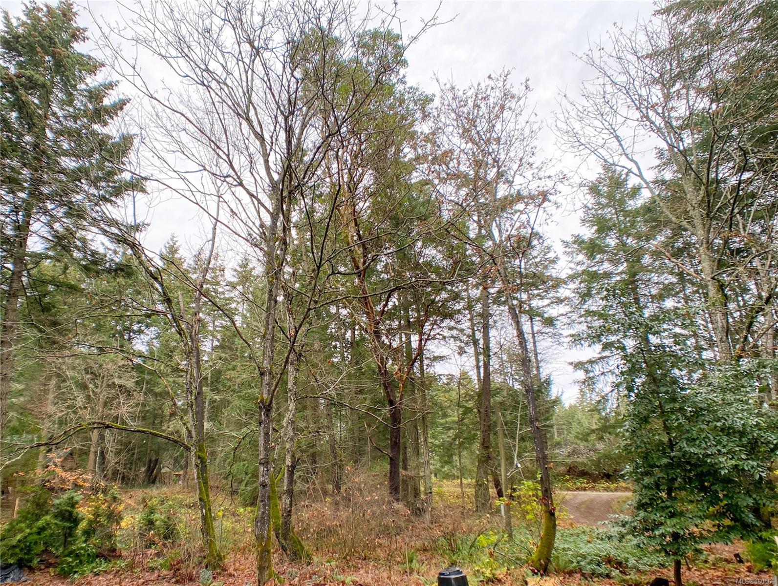 FEATURED LISTING: 2455 Tyee Dr