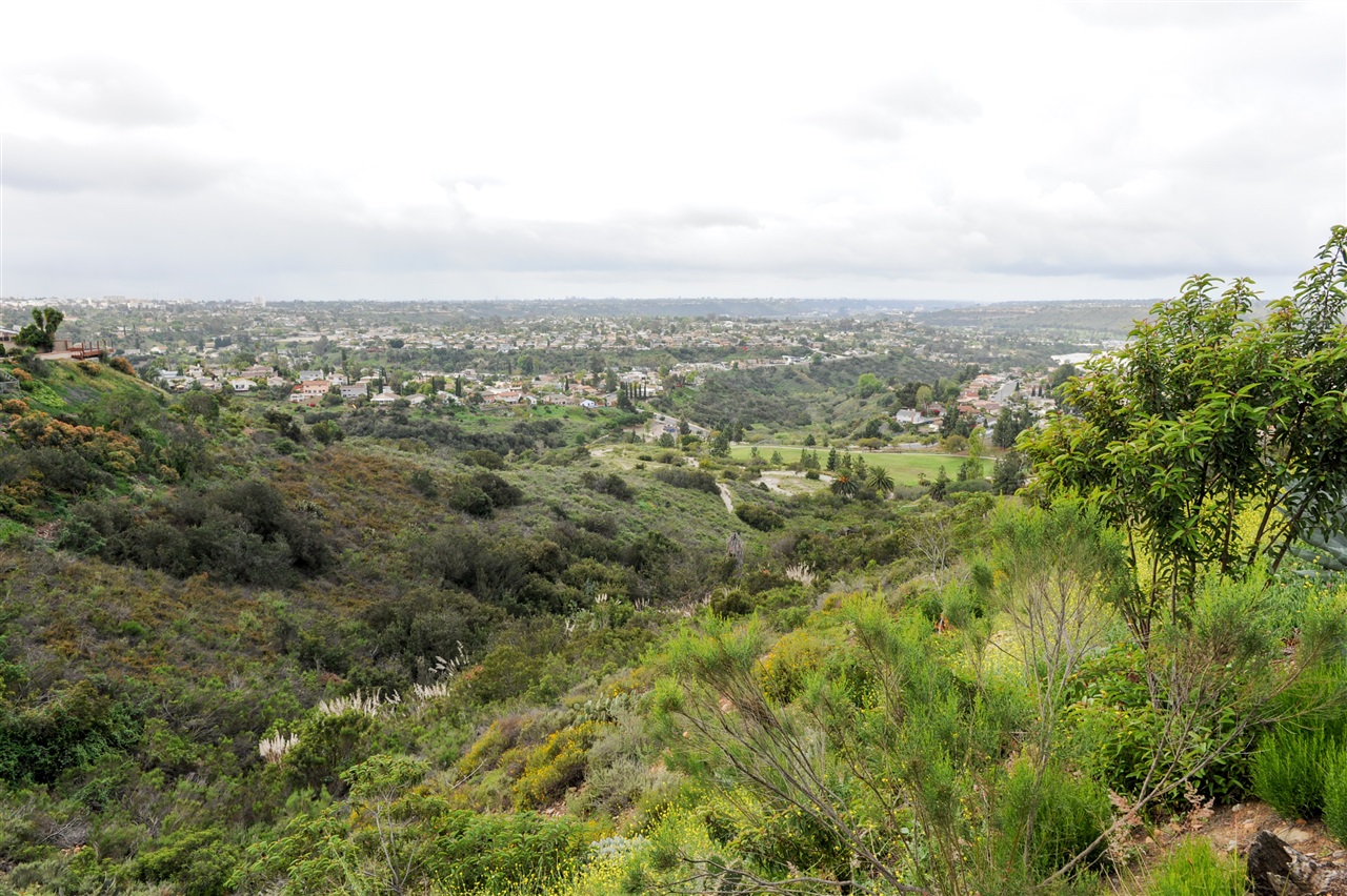 Main Photo: DEL CERRO House for sale : 3 bedrooms : 8366 High Winds Way in San Diego