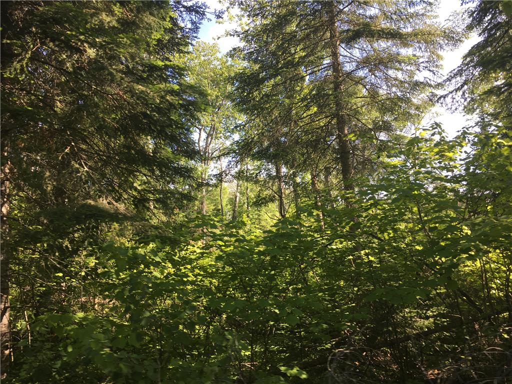 FEATURED LISTING: 87 Pelican Inlet Road Manigotagan