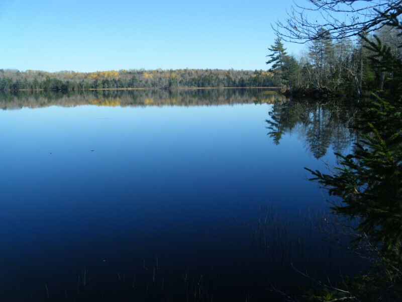 FEATURED LISTING: Lot 14 Black Duck Lake Road East Dalhousie