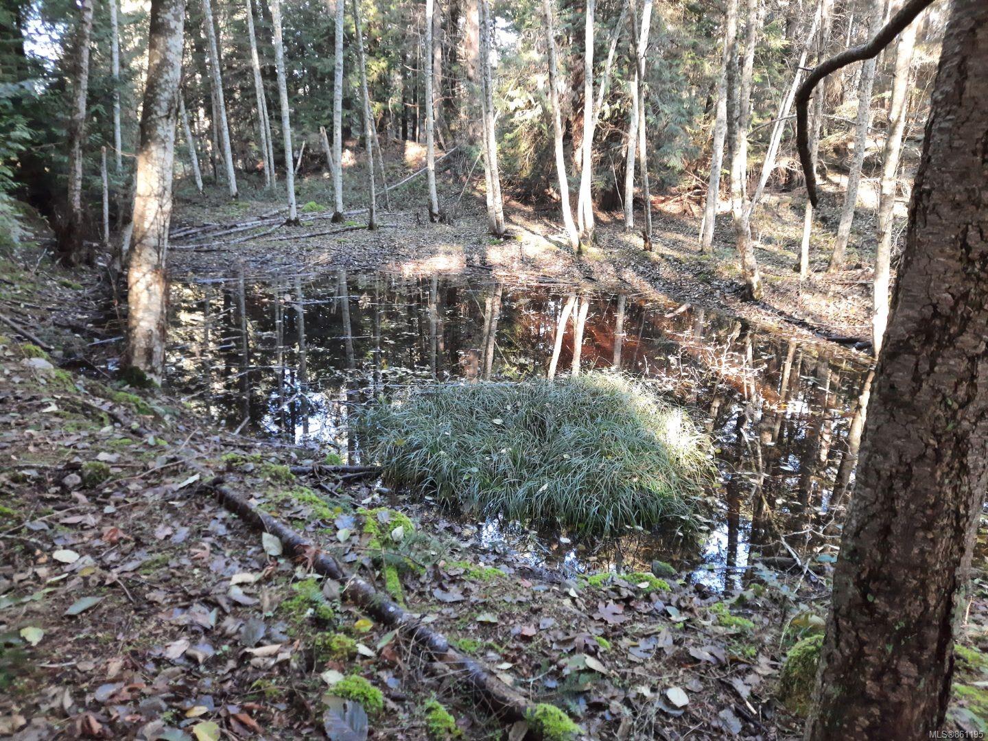 FEATURED LISTING: Lot 91 SOCKEYE Dr