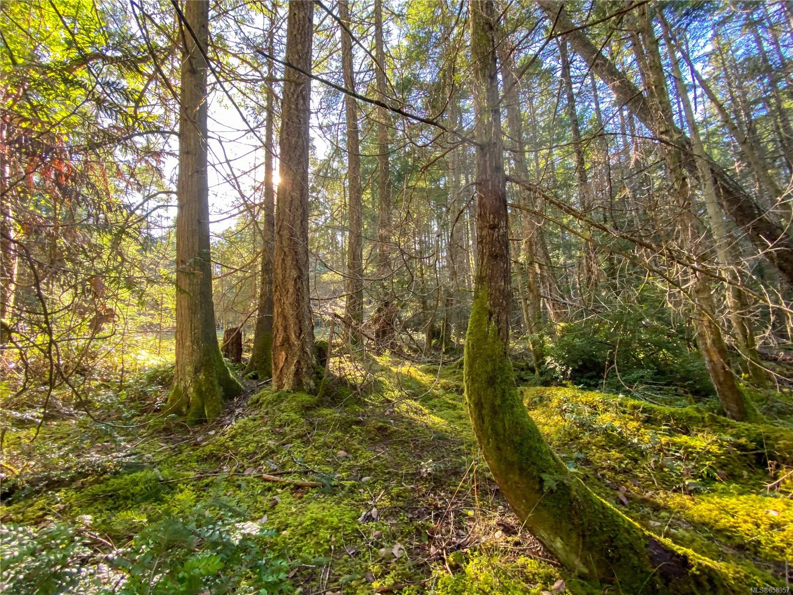 FEATURED LISTING: Lt 2 South Rd