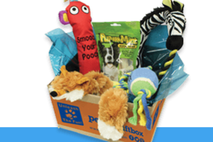 Pet Giftbox