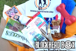 Blockhead Box by Fight4Them