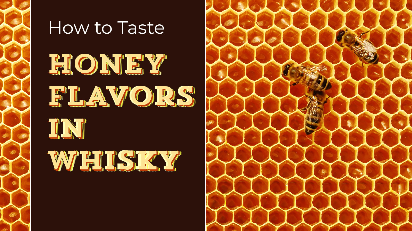 How to Taste Honey Flavors in Whisky Whisky Advocate