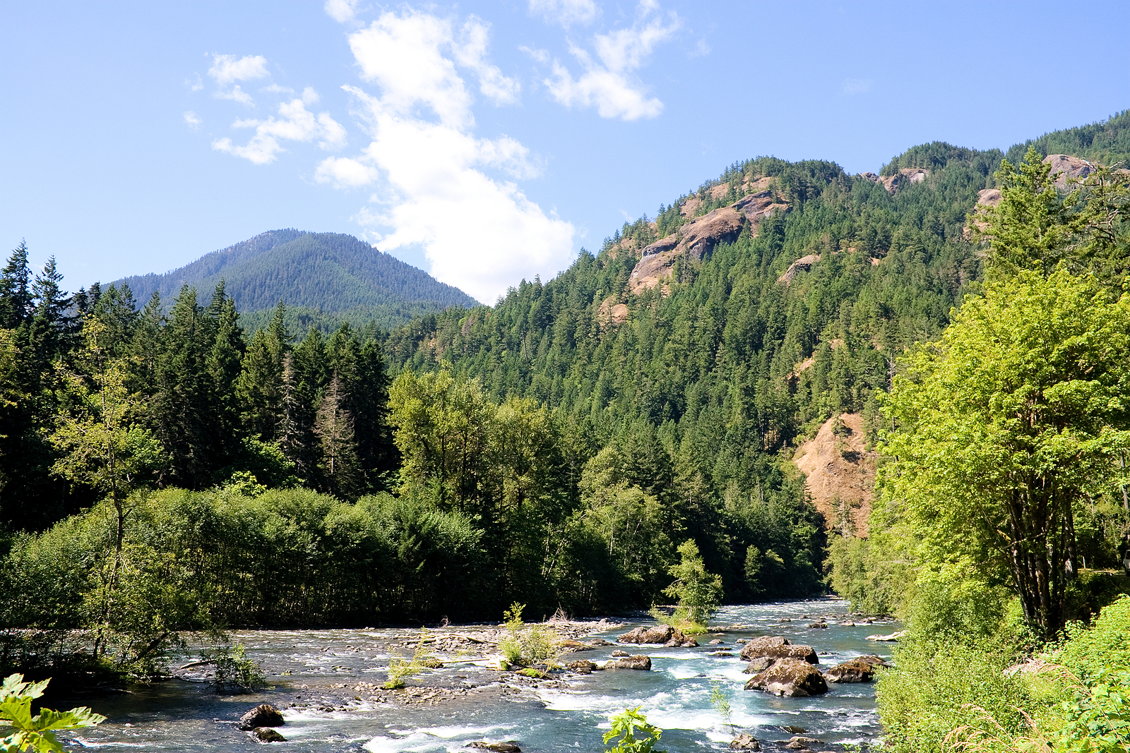 Witness the Elwha River Restoration