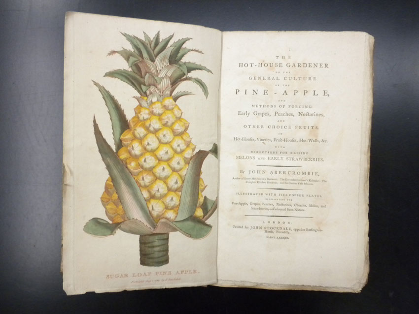 Pineapples · Washington's Mount Vernon