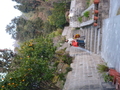 P1000271