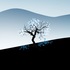 Aloof-1280x960_medium