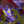 Eye_liner_ms__tiny