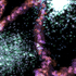 A_moment_in_time_ms__medium