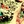 10154135_tiny