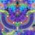 Adam_medium