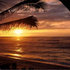 Beach_sunset_medium
